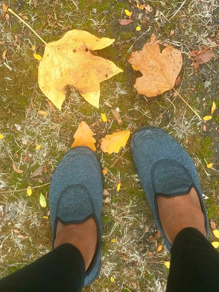 ✨🍁 🍂 Fall leaves, seasons change, yet the beauty of nature remains the same.🍂🍁✨